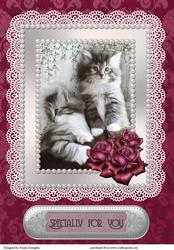 Kittens & Roses