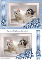 Kittens & Roses #3