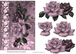 Aubergine Roses