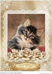 Kittens & Roses #2 A4 Card Front