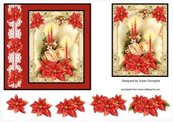 Christmas Bible & Poinsettias