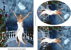 Moon Dancer