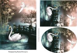 Swan Song a Touch of the Orient 2