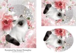 Kitten and Flowers Love Me Tender
