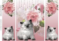 Kitten and Flowers Irresistible Me