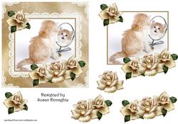 Kittens and Roses 7
