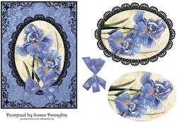 Blue Irises and Black Lace