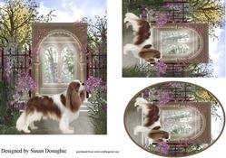 Cavalier King Charles Spaniel