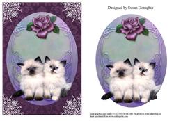 Kittens and Roses Sugar and Spice