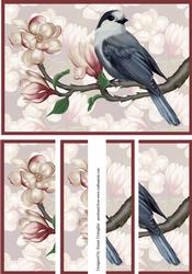 Blue Jay with Magnolias