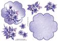 Frosted Floral #2