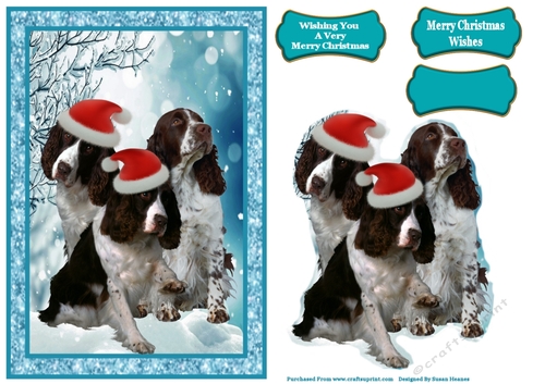 Pawsome Christmas Wishes