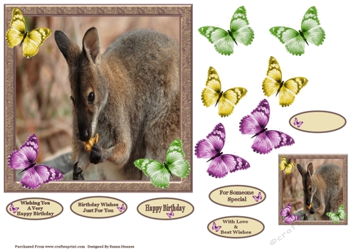 Sweet Little Rock Wallaby 7x7