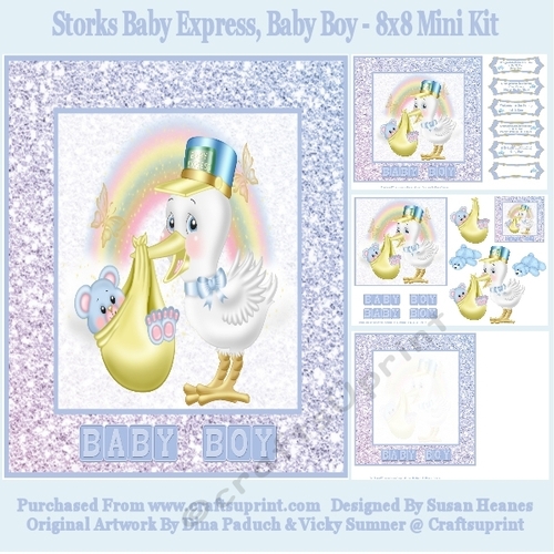Storks Baby Express, Baby Boy - 8x8 Mini Kit