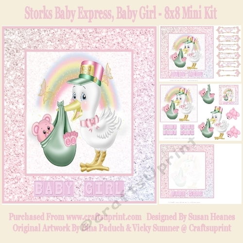 Storks Baby Express, Baby Girl - 8x8 Mini Kit