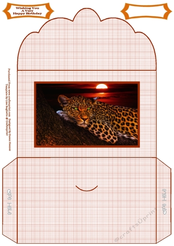 The Leopard Resting At Sunset - Money Wallet