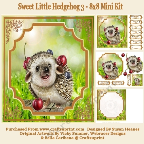 Sweet Little Hedgehog 3 - 8x8 Mini Kit