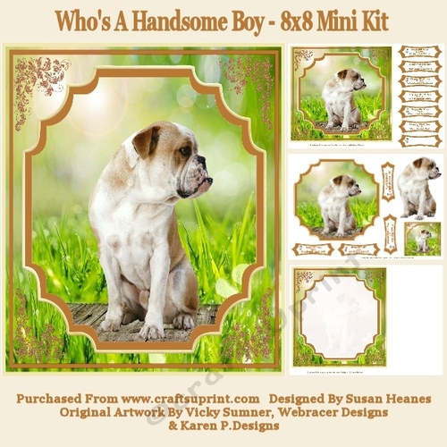 Whos A Handsome Boy - 8x8 Mini Kit
