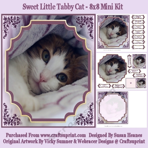 Sweet Little Tabby Cat - 8x8 Mini Kit