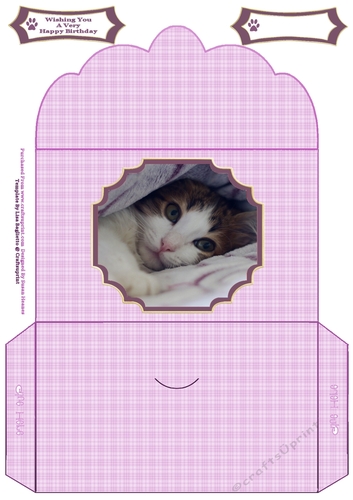 Sweet Little Tabby Cat - Money Wallet