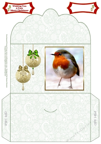Red, Red Robin - Money Wallet