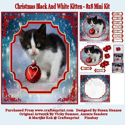 Christmas Black And White Kitten - 8x8 Mini Kit