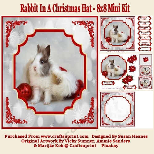 Rabbit In A Christmas Hat - 8x8 Mini Kit
