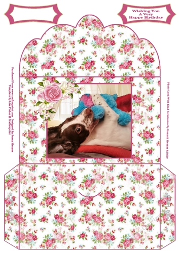 Puppy Playtime - Money Wallet