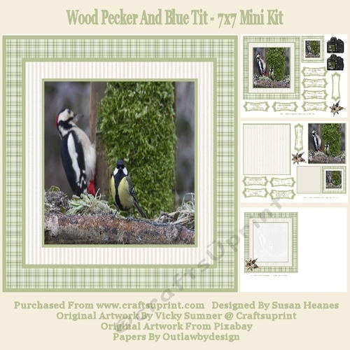 Wood Pecker And Blue Tit - 7x7 Mini Kit
