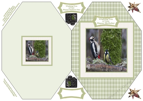 Wood Pecker And Blue Tit - Cut And Fold Card