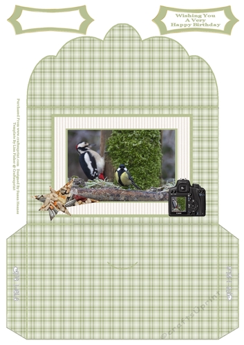 Wood Pecker And Blue Tit - Money Wallet