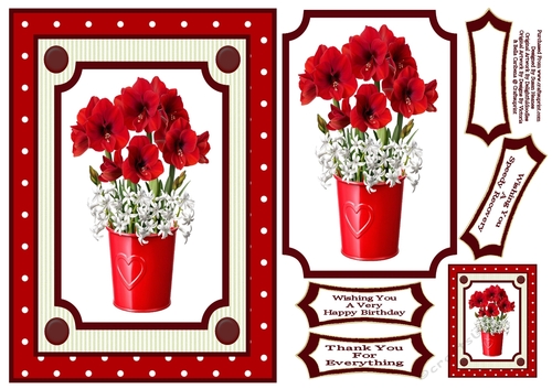 Pretty Red And White Flowers 