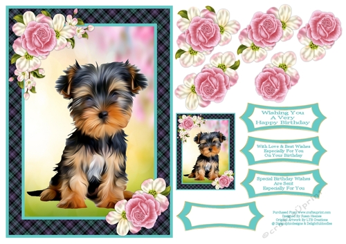 What A Sweet Little Dog