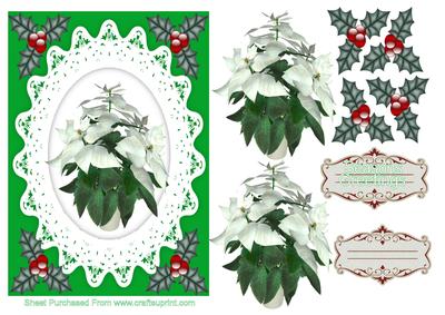 Christmas Poinsettia 2