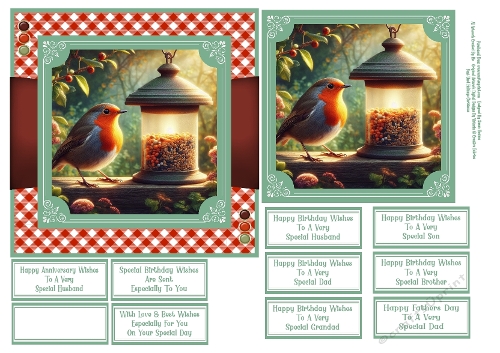 Garden Robin At The Bird Feeder - 6x6