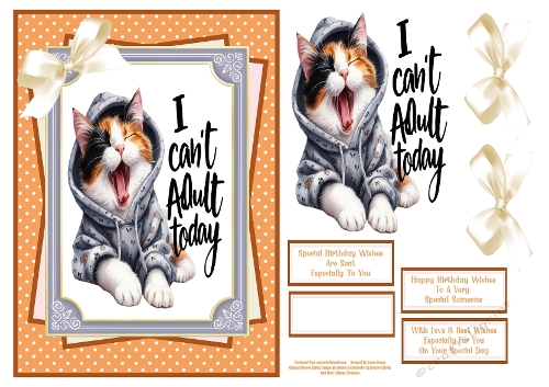 I Cant Adult Today - A5