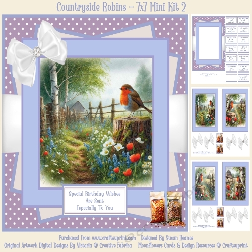 Countryside Robins - 7x7 Mini Kit 2