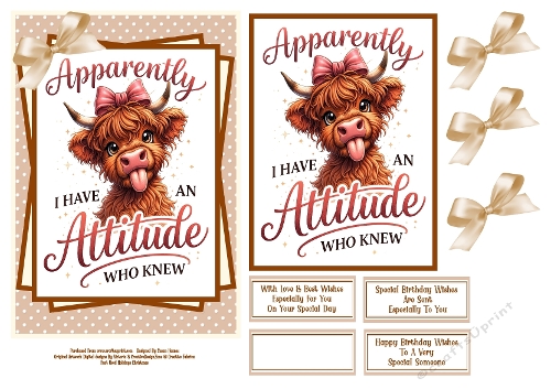 Apparently I Have An Attitude - 5x7 