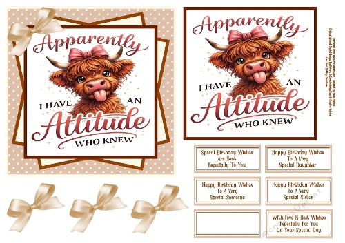 Apparently I Have An Attitude - 6x6
