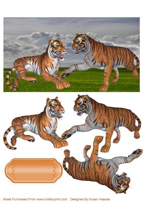 Call of the Wild