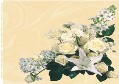 Beautiful Cream Roses Corner Bouquet