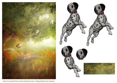 Playful Dalmation Puppy