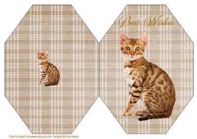 Tabby Kitten Octagon Card