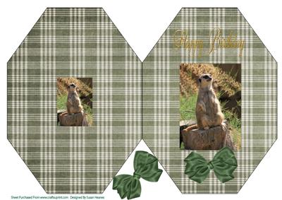 Meerkat Octagon Card