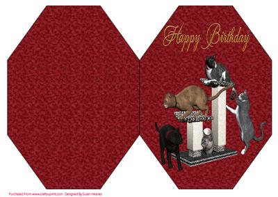 Kittens Playground Octagon Card 2