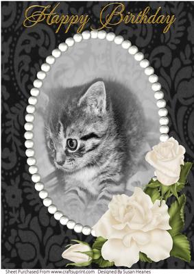 A4 Sweet Little Kitten 3