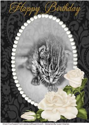 A4 Sweet Little Kitten 5