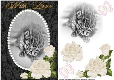Sweet Little Kitten 6