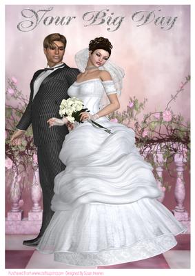 A4 the Bride and Grooms Big Day