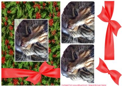A Purrfect Christmas